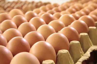沧州鸡蛋检测价格,鸡蛋检测机构,鸡蛋检测项目,鸡蛋常规检测